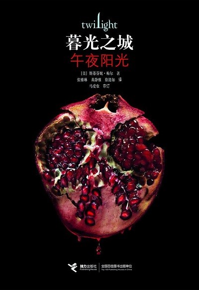 Midnight sun [Chinese] : 午夜阳光
