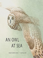 An owl at sea