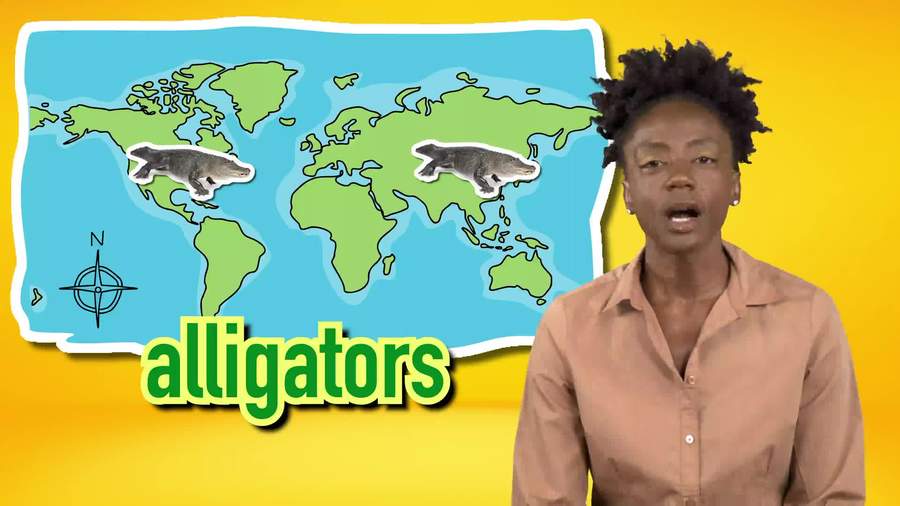 Crocodiles vs. alligators : similarities, differences, fun facts and species.