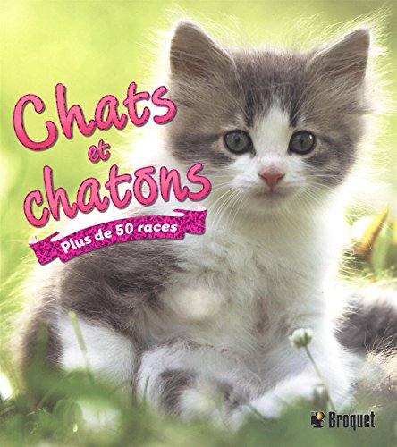 Chats et chatons